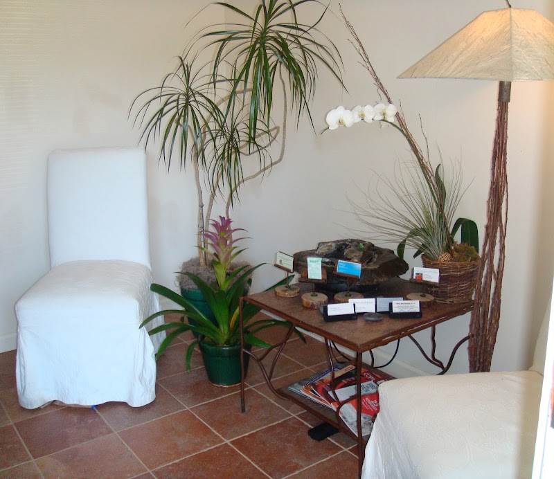 Waterfall Healing Arts photo 4