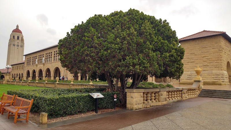 Olives at Building 160 photo 5