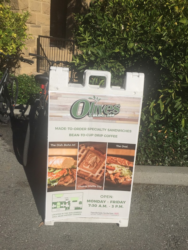 Photo of Olives at Building 160