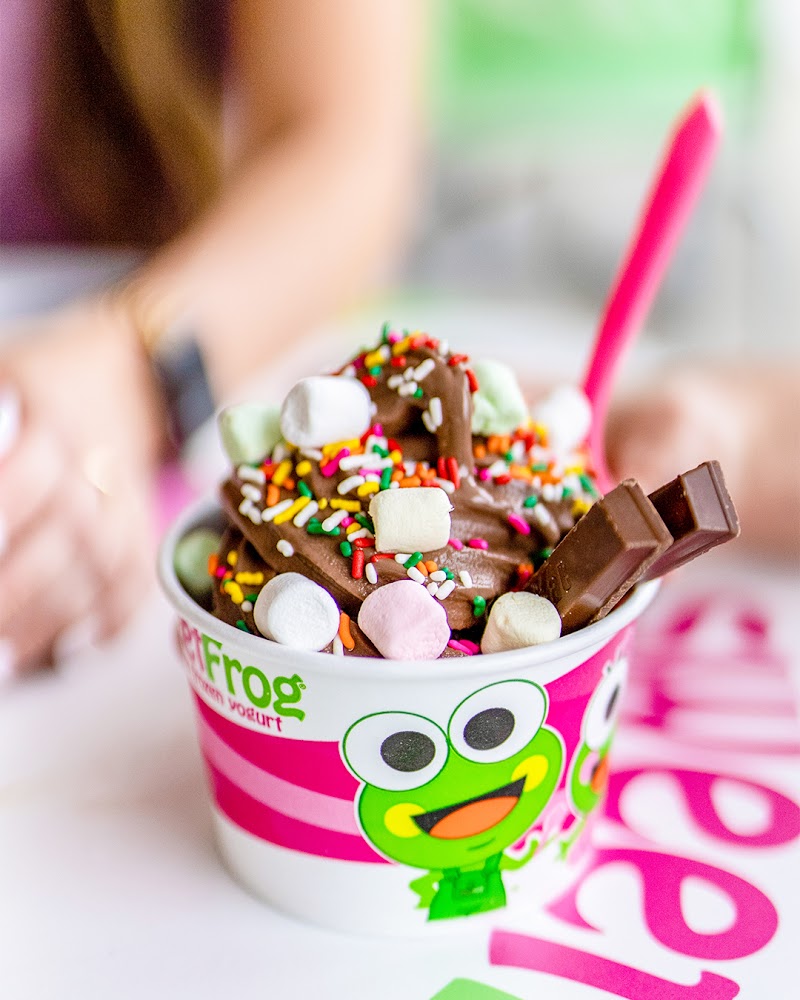 sweetFrog photo 2