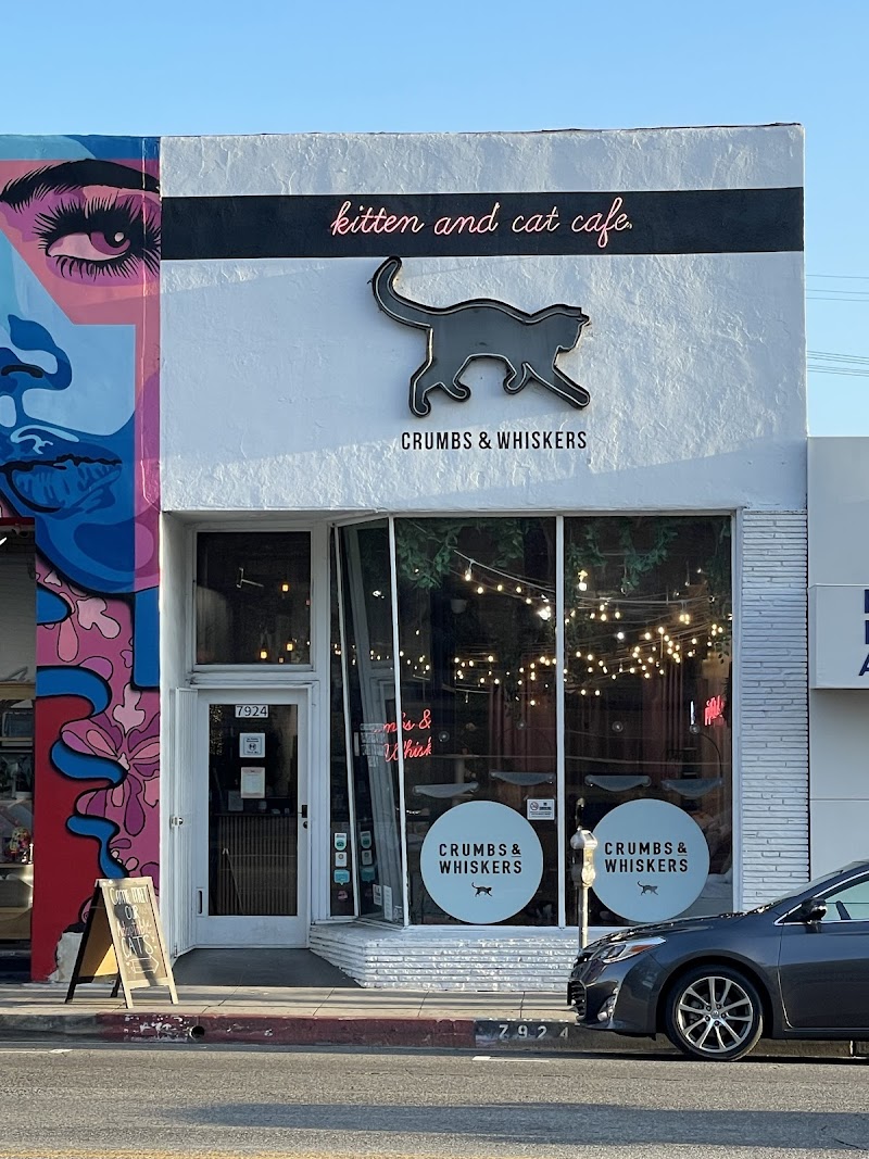 Photo of Crumbs & Whiskers