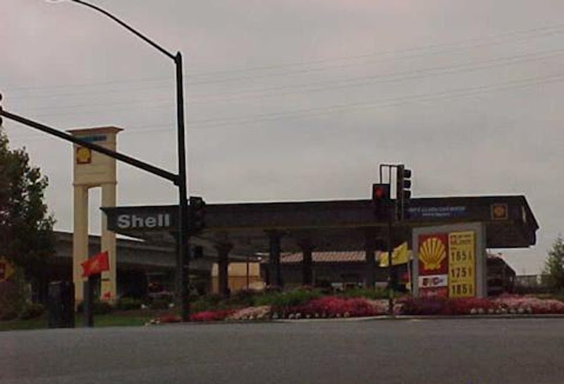 Shell photo 2