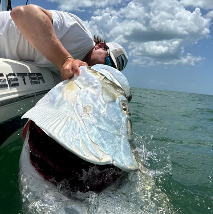Hog HandlerZ Sportfishing Charters photo 3