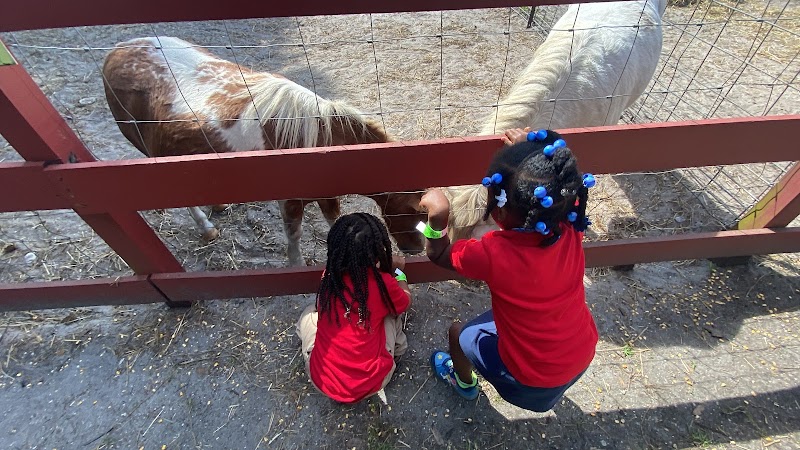 Kidz Club Academy LLC photo 4