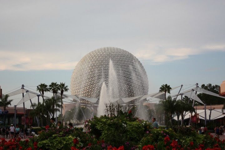AT Travel & Tours Services photo 3