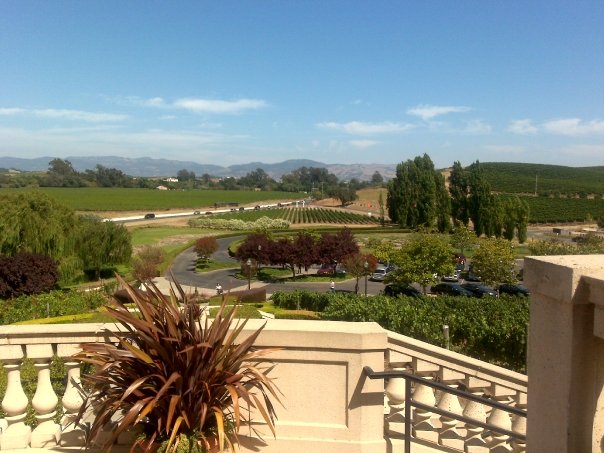 AT Travel & Tours Services photo 4