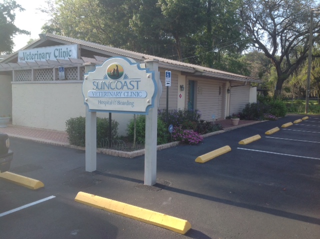 Photo of Suncoast Veterinary Clinic