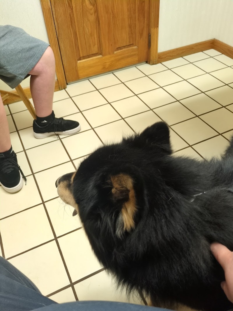 Suncoast Veterinary Clinic photo 5