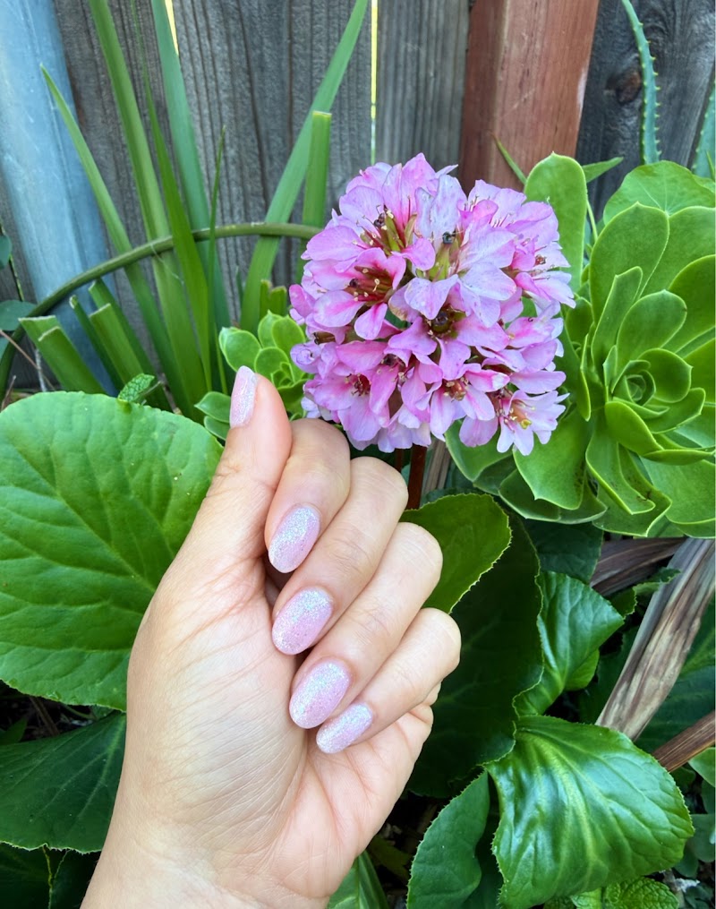 Four Seasons Nails Salon photo 4