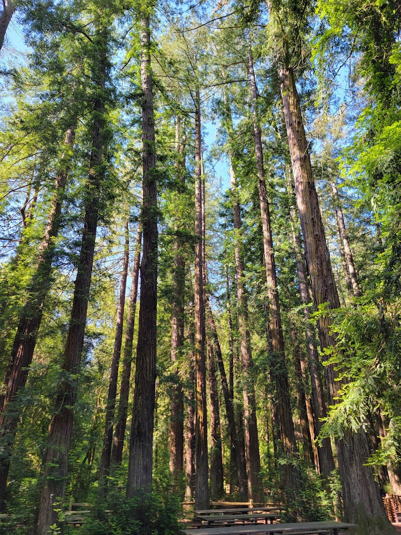 Riverfront Regional Park photo 4