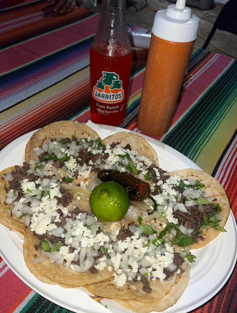 Margarita tacos photo 2