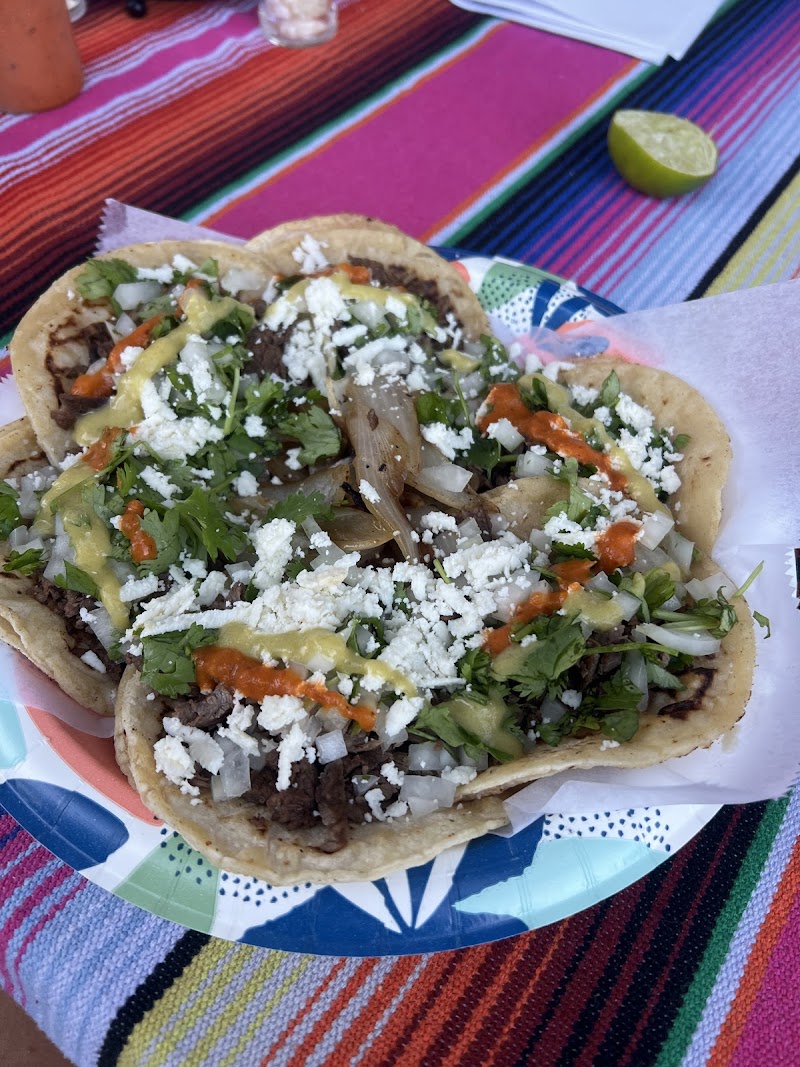 Photo of Margarita tacos