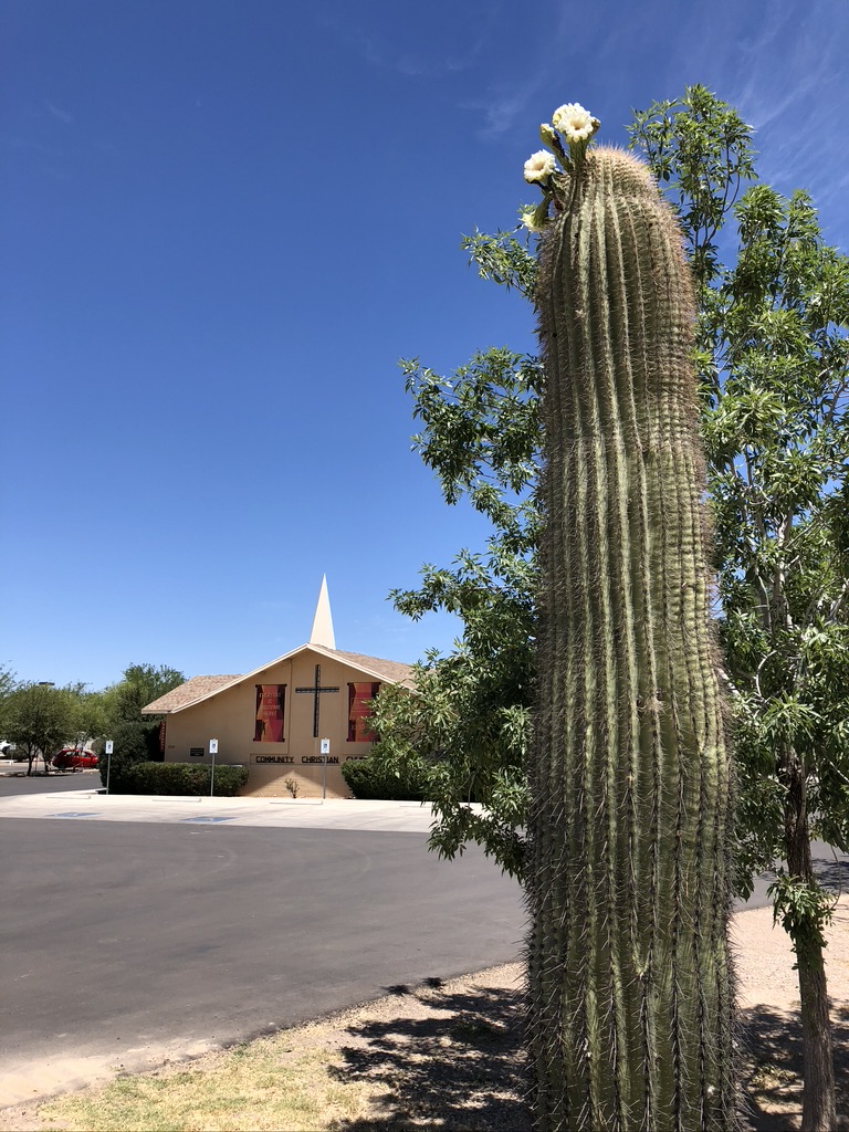 Community Christian Church of Marana photo 4