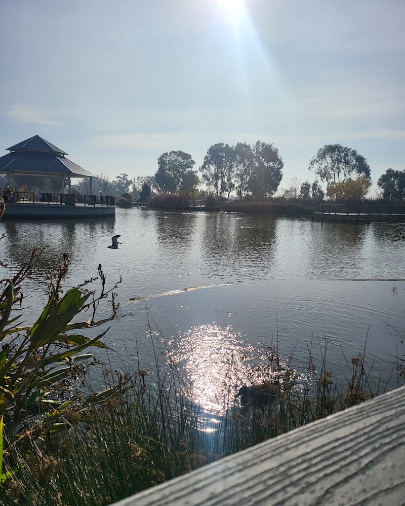 Via Toledo Park photo 5
