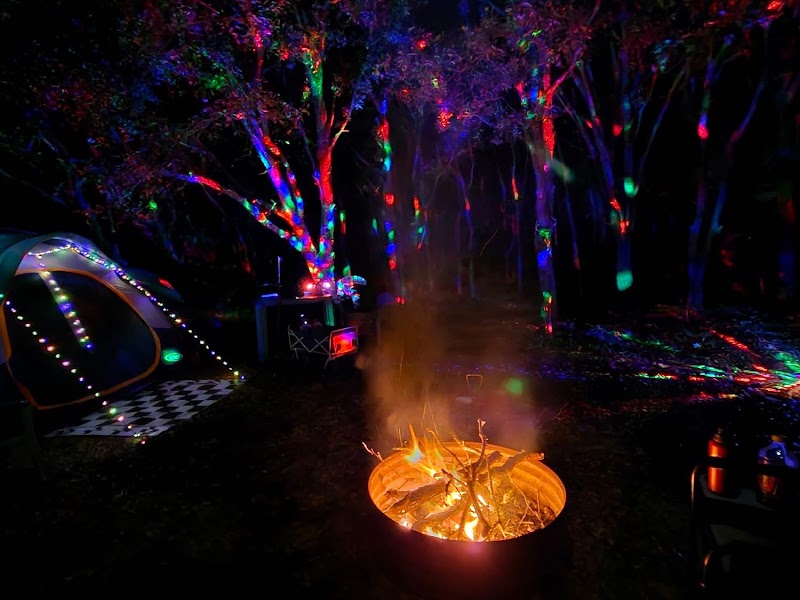 Community of Consciousness Church photo 5