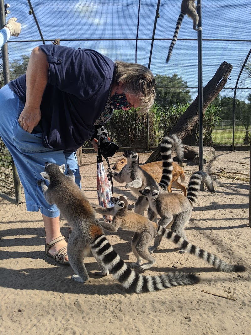 Giraffe Ranch photo 4