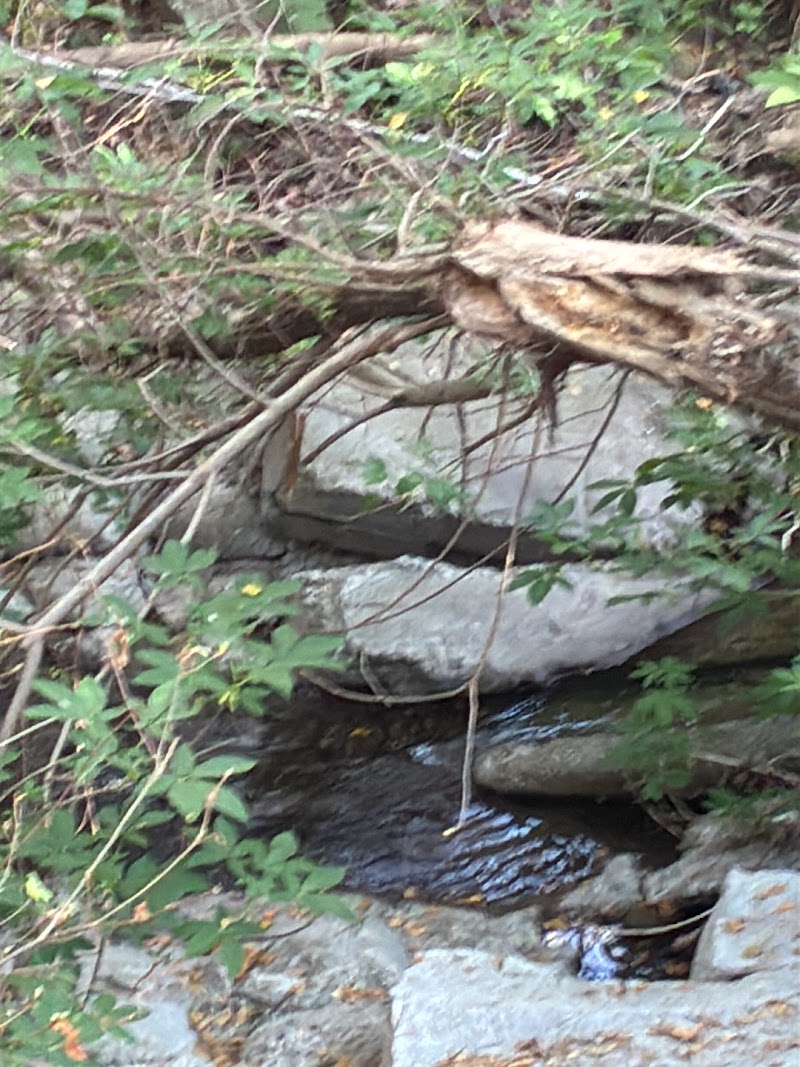 Lafayette Creek photo 2
