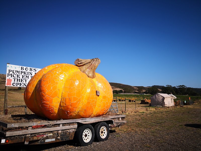 Bob's Vegetable Stand & Pumpkin Farm photo 4