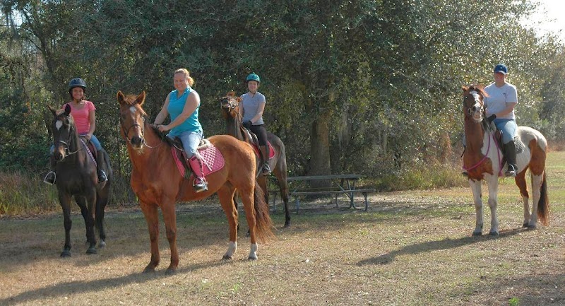 Hidden Meadow Farms photo 3