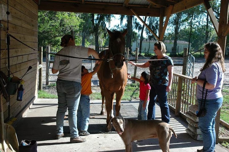 Hidden Meadow Farms photo 4