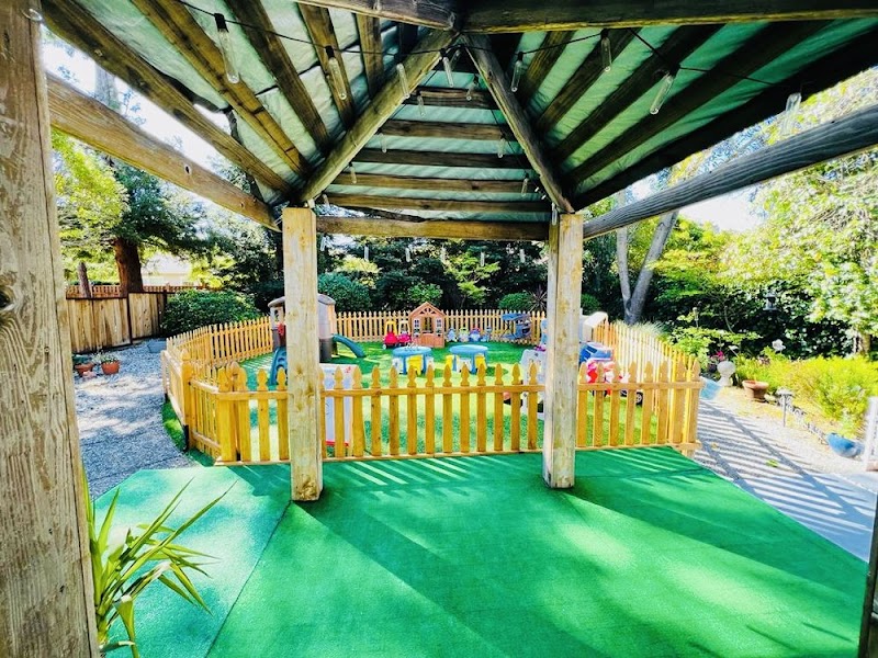 Little Stars Daycare photo 3