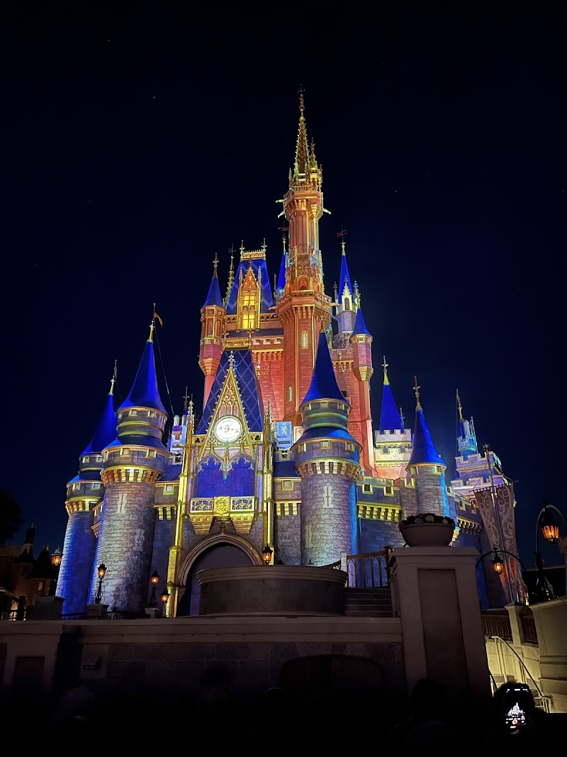 Mickey’s Magical Friendship Faire photo 3