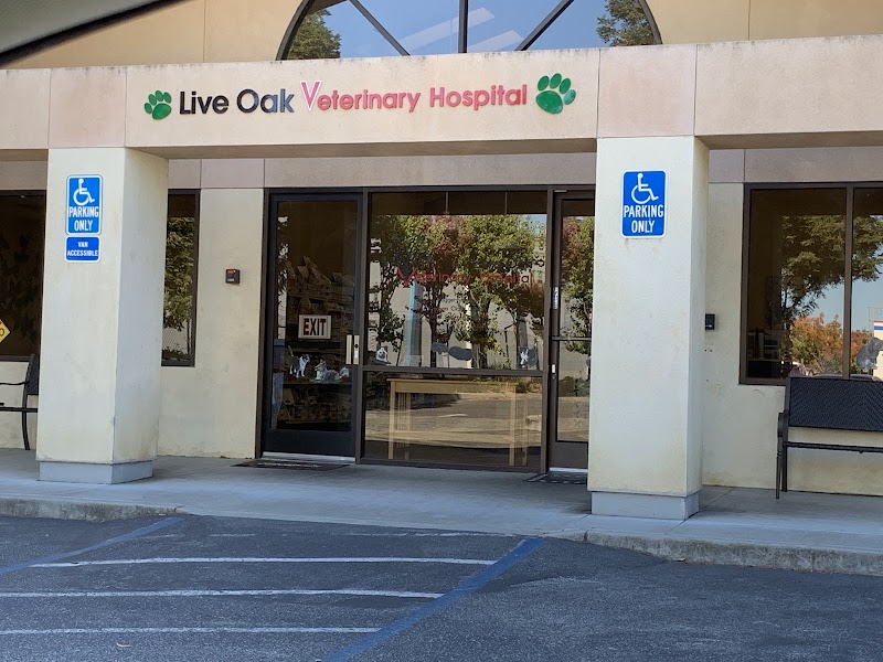 Live Oak Veterinary Hospital photo 3