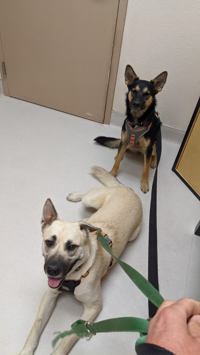 Live Oak Veterinary Hospital photo 2
