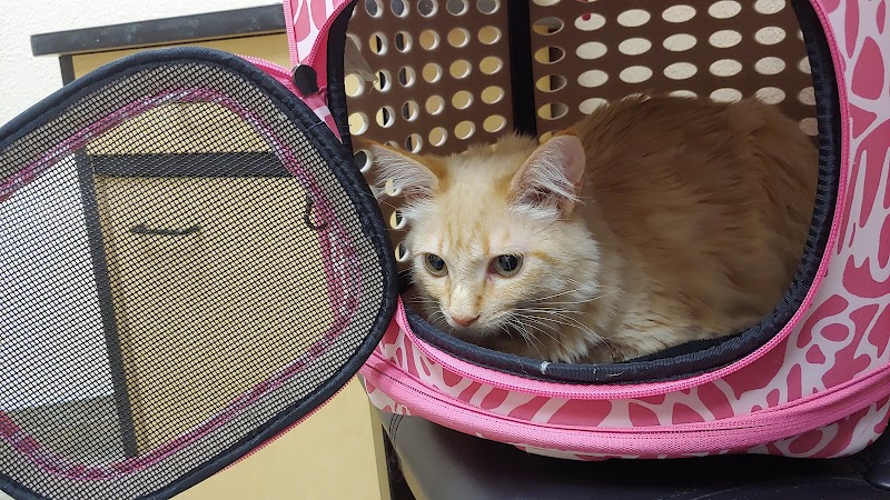 Live Oak Veterinary Hospital photo 5