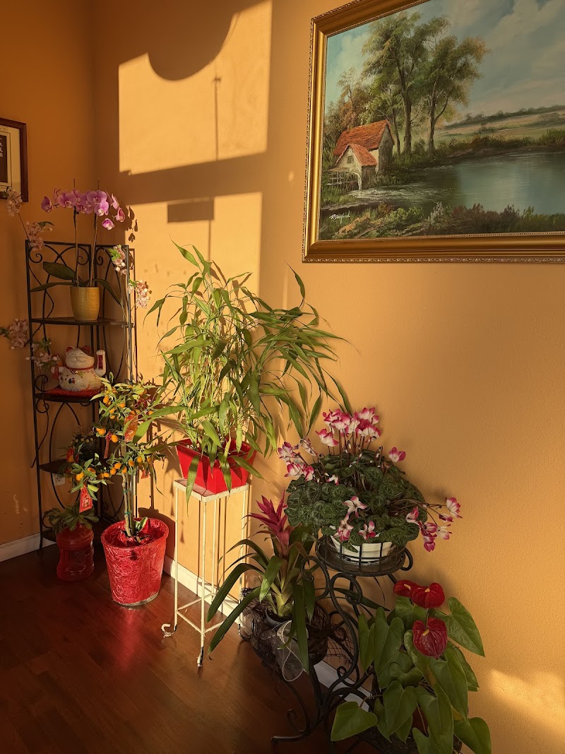 Green Tree Day Spa photo 5