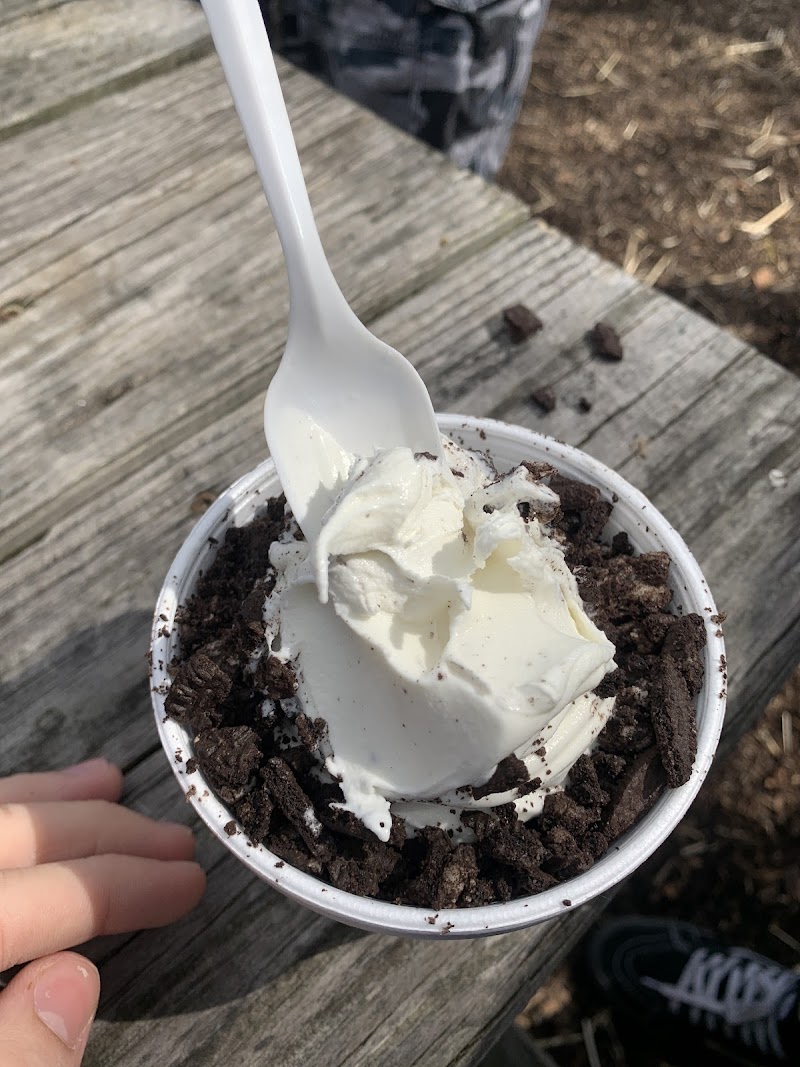 Flub's Ice Cream photo 5