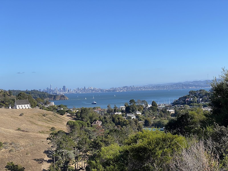 Photo of Christmas Tree Hill
