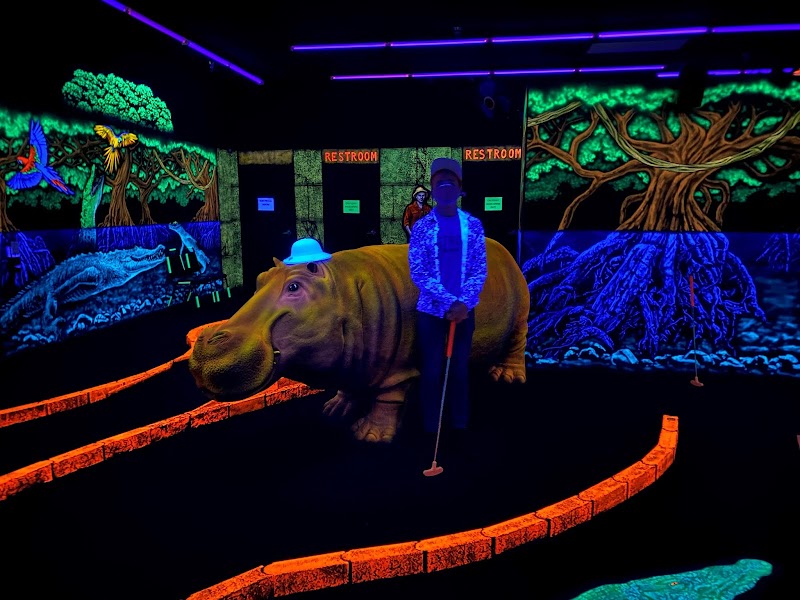 Swingin' Safari Mini Golf, LLC photo 3