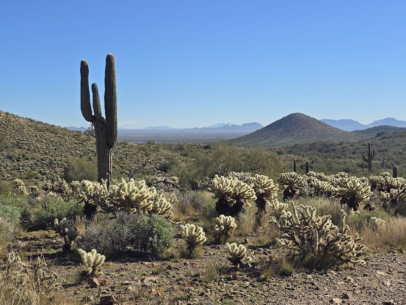 Photo of Sonoran Preserve