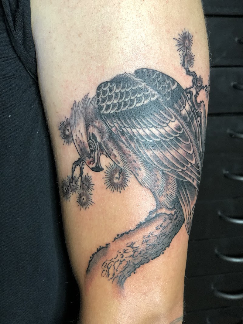 Redtail Tattoo Studio and Gallery photo 3