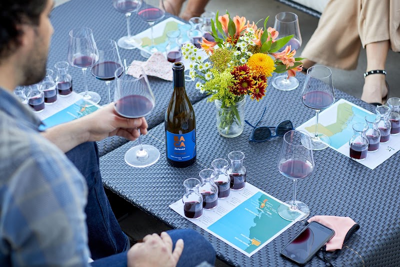 BACA Wines photo 3