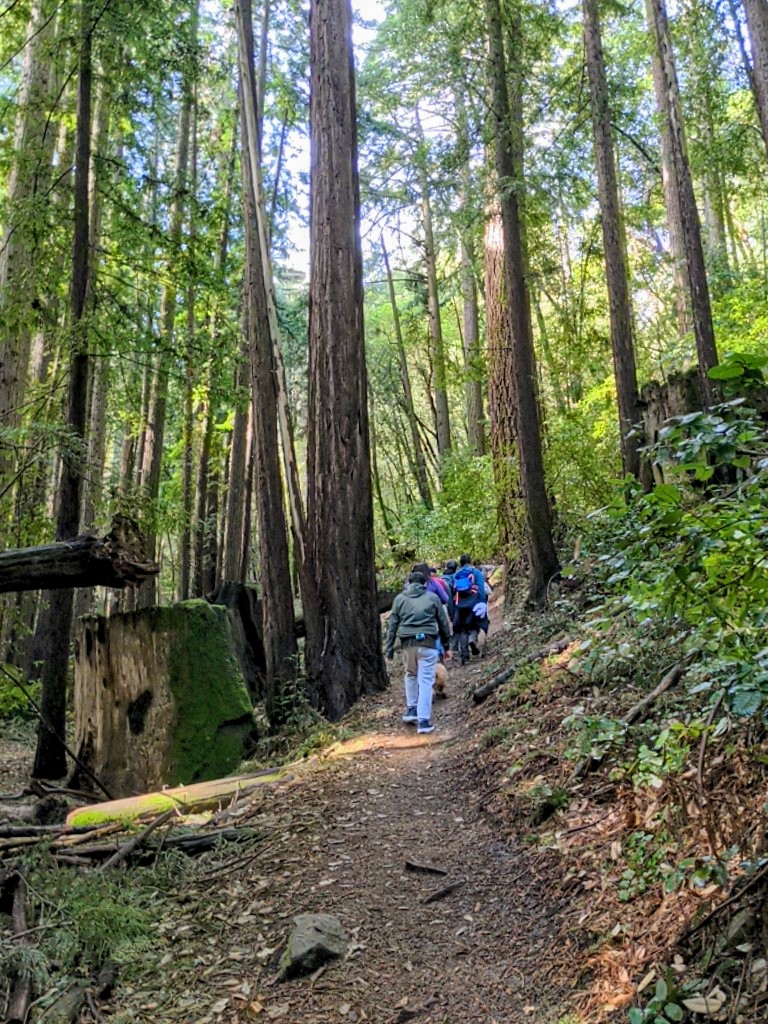 Costanoan Picnic Area | Sanborn Park photo 3