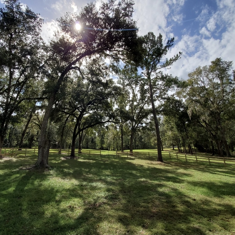 Stony Oak Farm photo 2