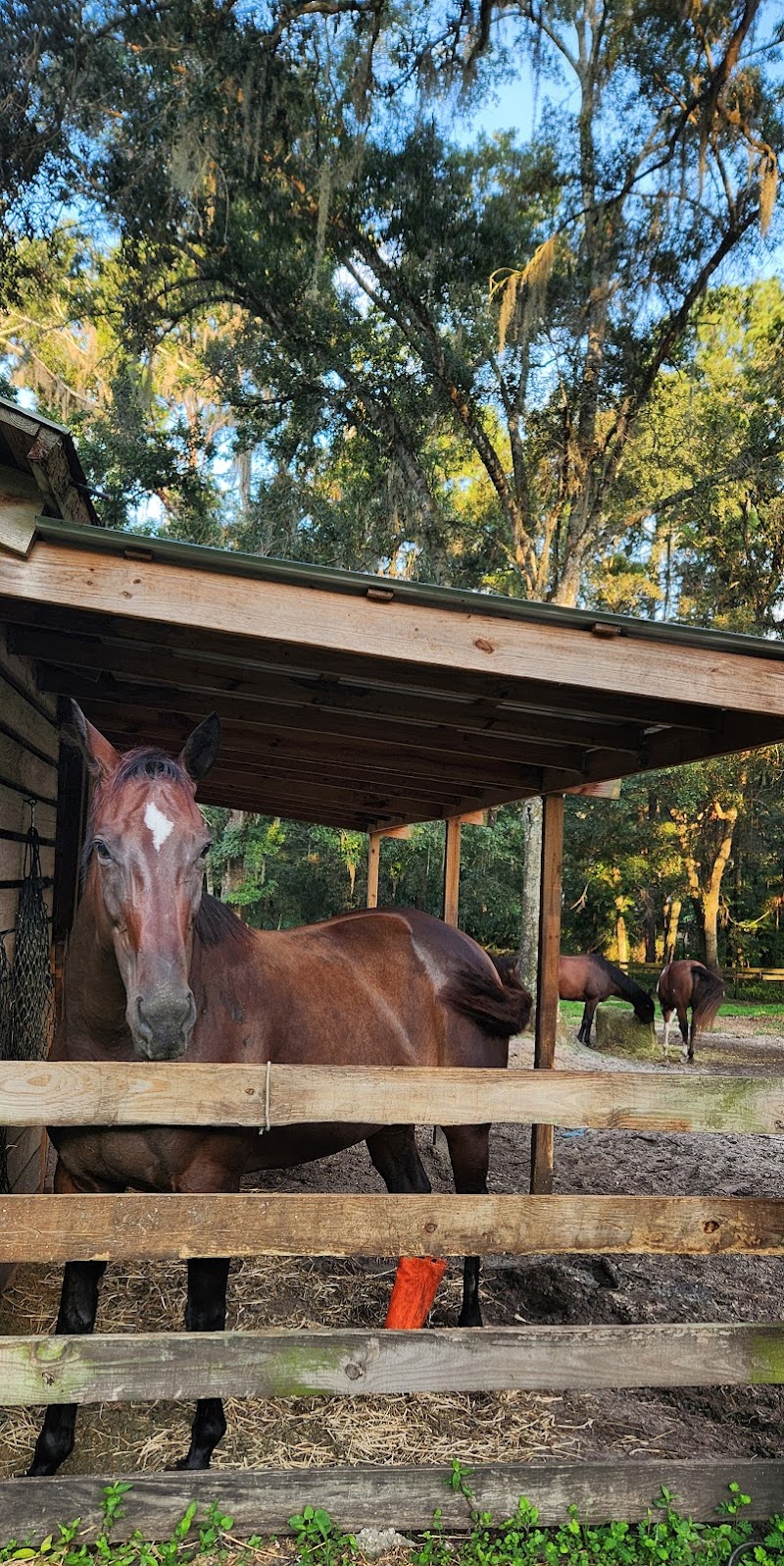 Photo of Stony Oak Farm