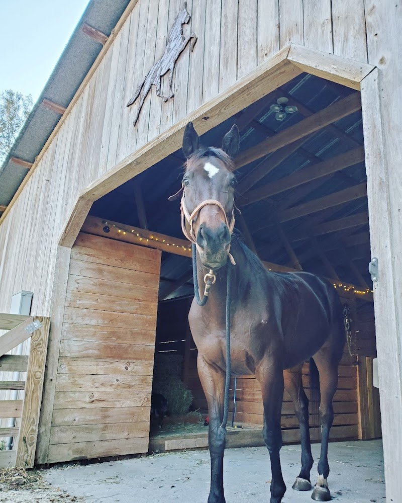 Stony Oak Farm photo 3