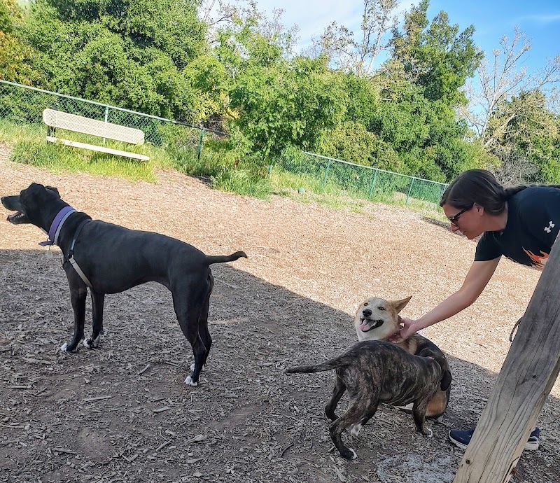 Clayton Dog Park photo 4
