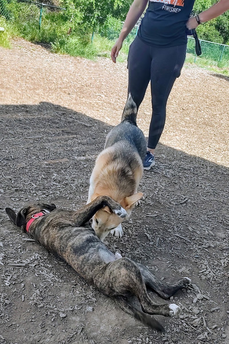 Clayton Dog Park photo 5