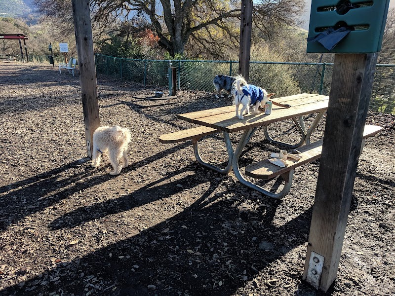 Clayton Dog Park photo 2