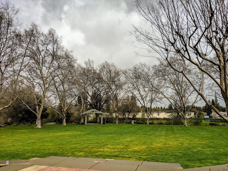 Town Green photo 3