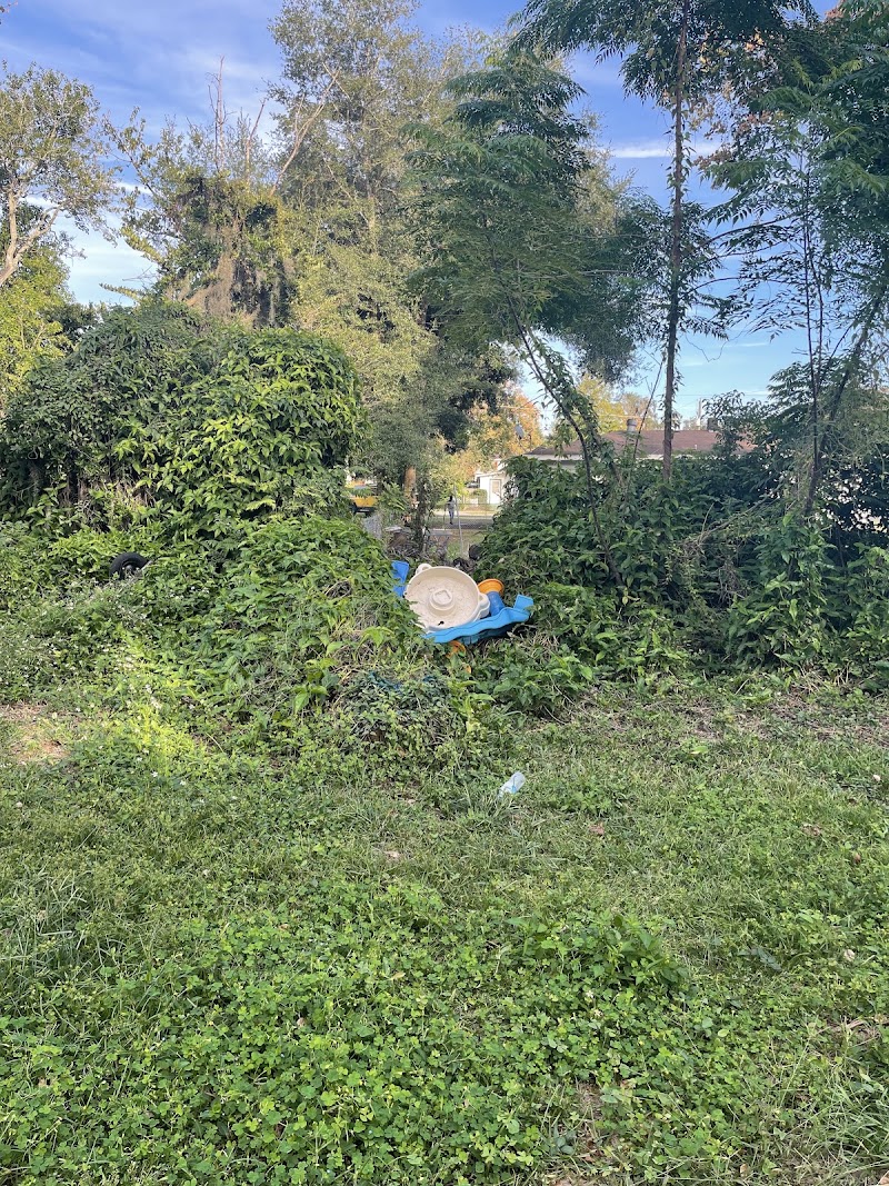 Costas Complete Tree Service photo 5