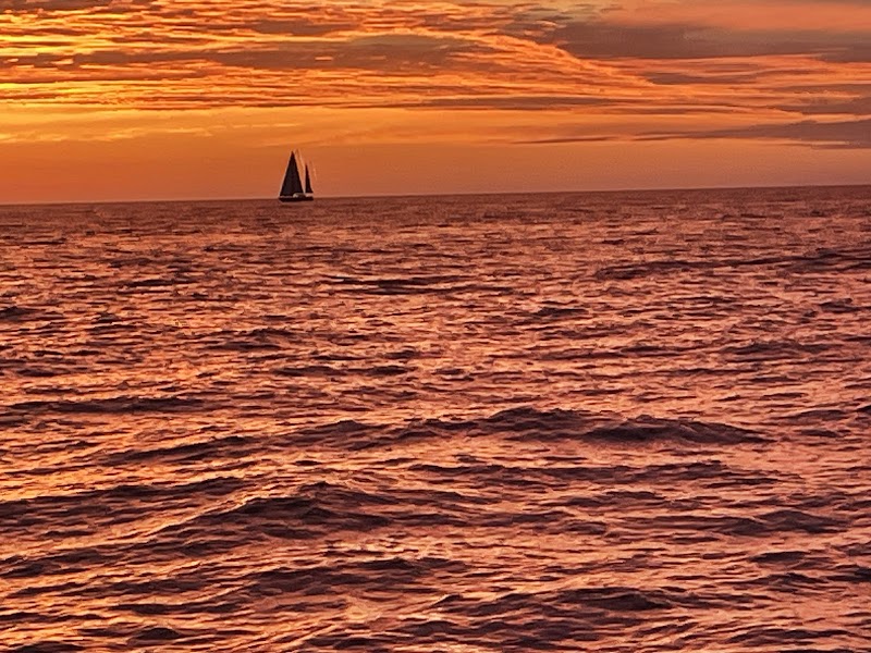 Photo of Dunedin Sailing Charters