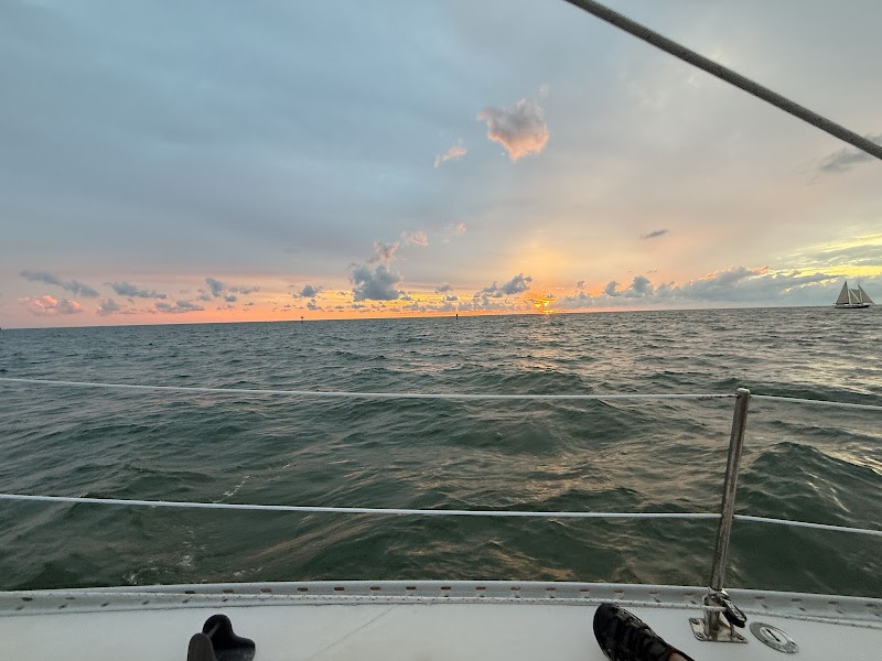 Dunedin Sailing Charters photo 3