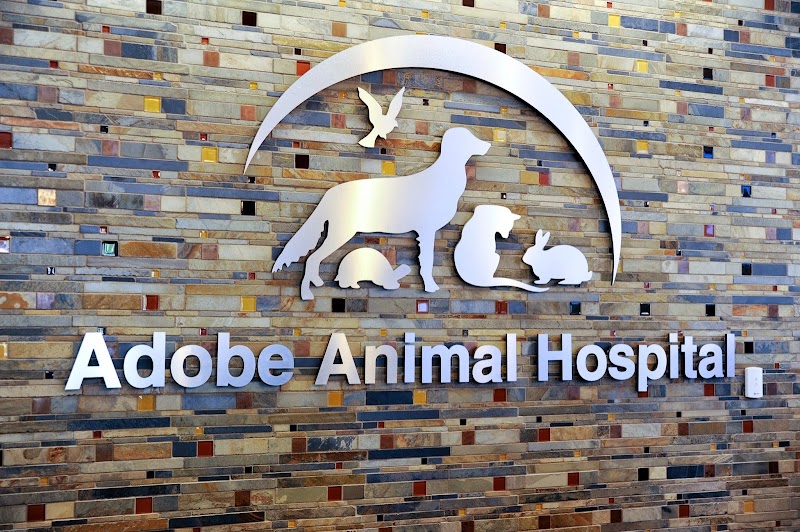 Photo of Adobe Los Altos