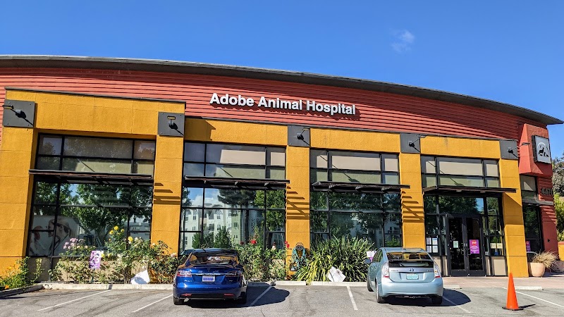 Adobe Los Altos photo 2