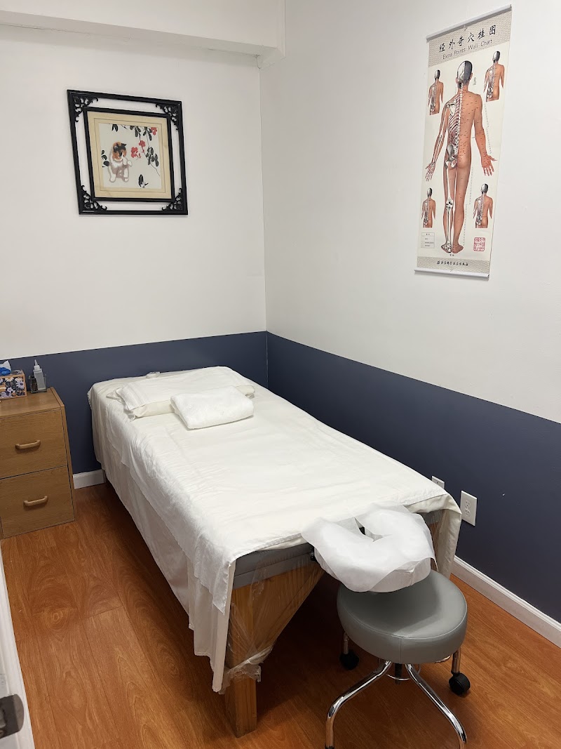 Holistic AcuCare photo 2